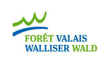 Forêt Valais